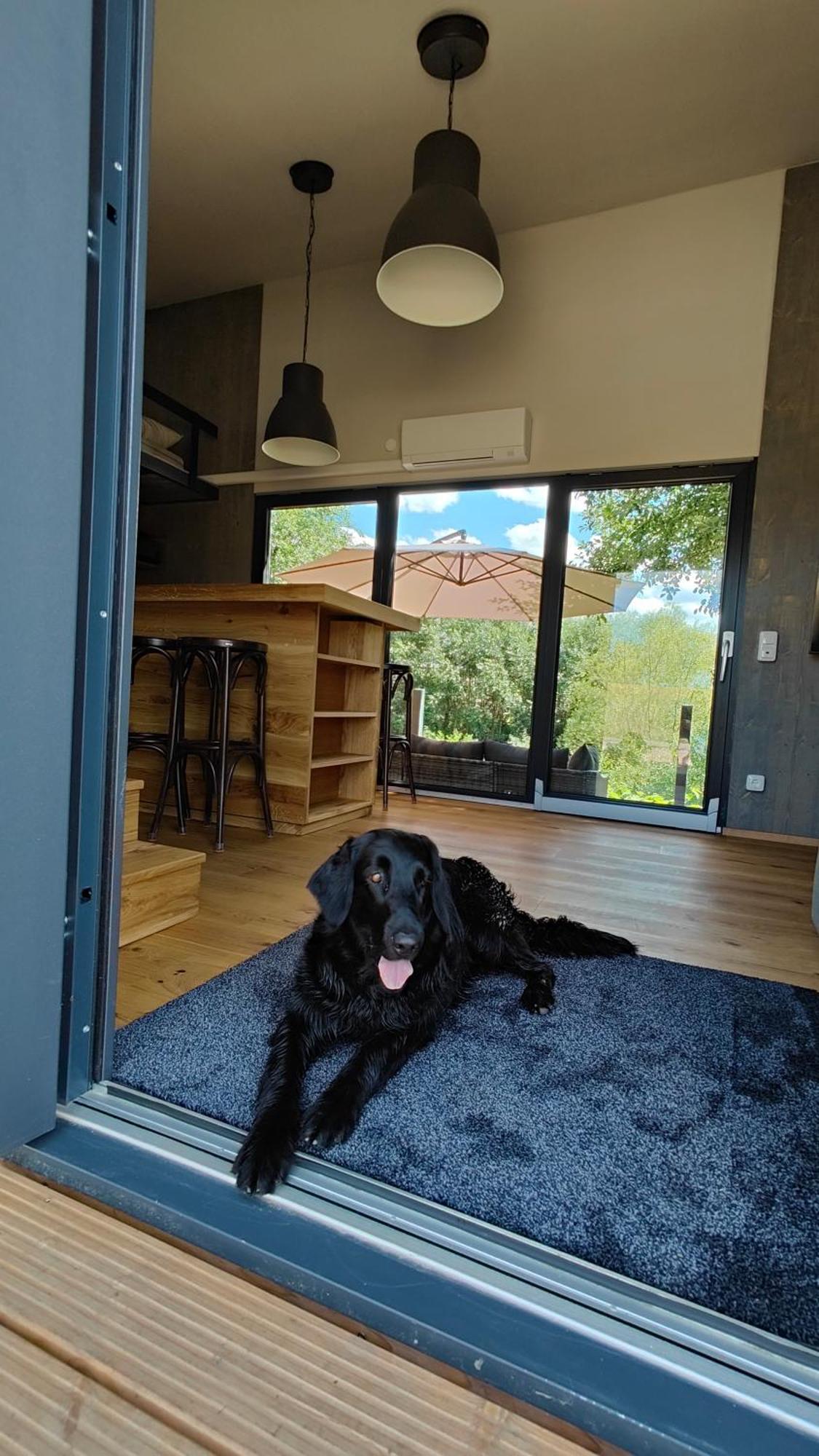 Tinyhousebeidresden 3 Fuer 2 - 7 Personen, Naehe Saechsische Schweiz, Dresden, Mit Badeteich Villa Großharthau Exterior foto