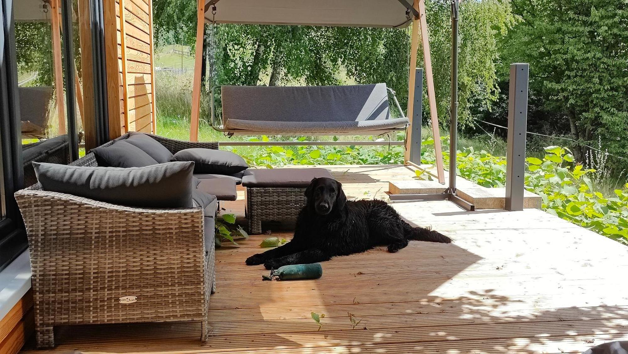 Tinyhousebeidresden 3 Fuer 2 - 7 Personen, Naehe Saechsische Schweiz, Dresden, Mit Badeteich Villa Großharthau Exterior foto